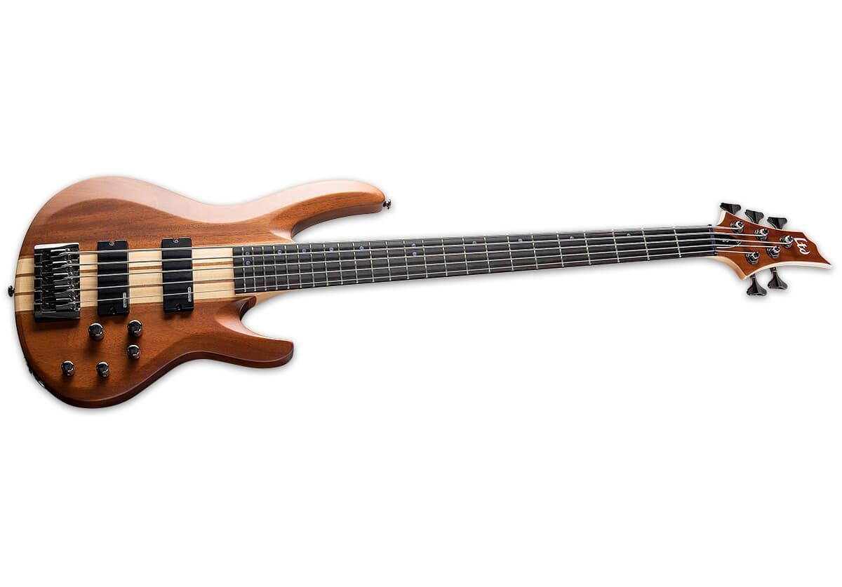 0799493262605 - ESP Ltd B-5E NS E-Bass 2x Humbucker durchgehender Hals 0799493262605 - ESP Ltd B-5E NS E-Bass 2x Humbucker durchgehender Hals