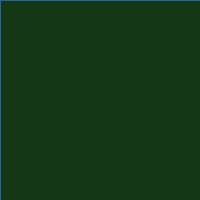 Lee-Farbfilter Folie 139 - primary green