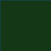 Lee-Farbfilter Folie 139 - primary green