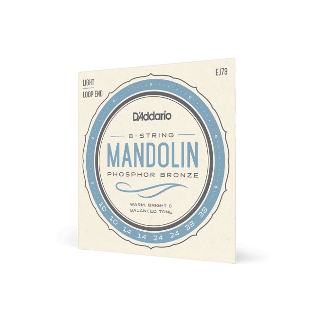 D'Addario EJ73 Mandolinen-Saiten mit Loop Ends 010-038