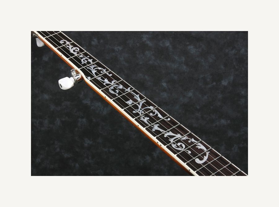 Ibanez B200 Banjo, 5-String, Bluegrass Banjo