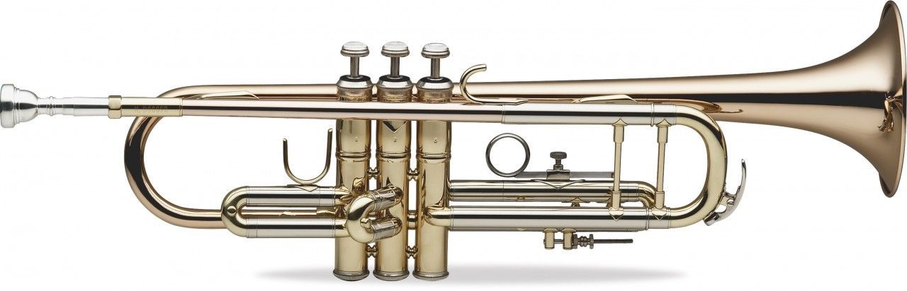 SWING TR-202-GM B-Trompete Goldmessing lackiert, Etui u. Zubehör_00006874_