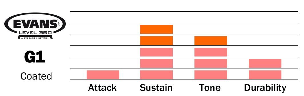 Evans G1 Coated 12" B12G1