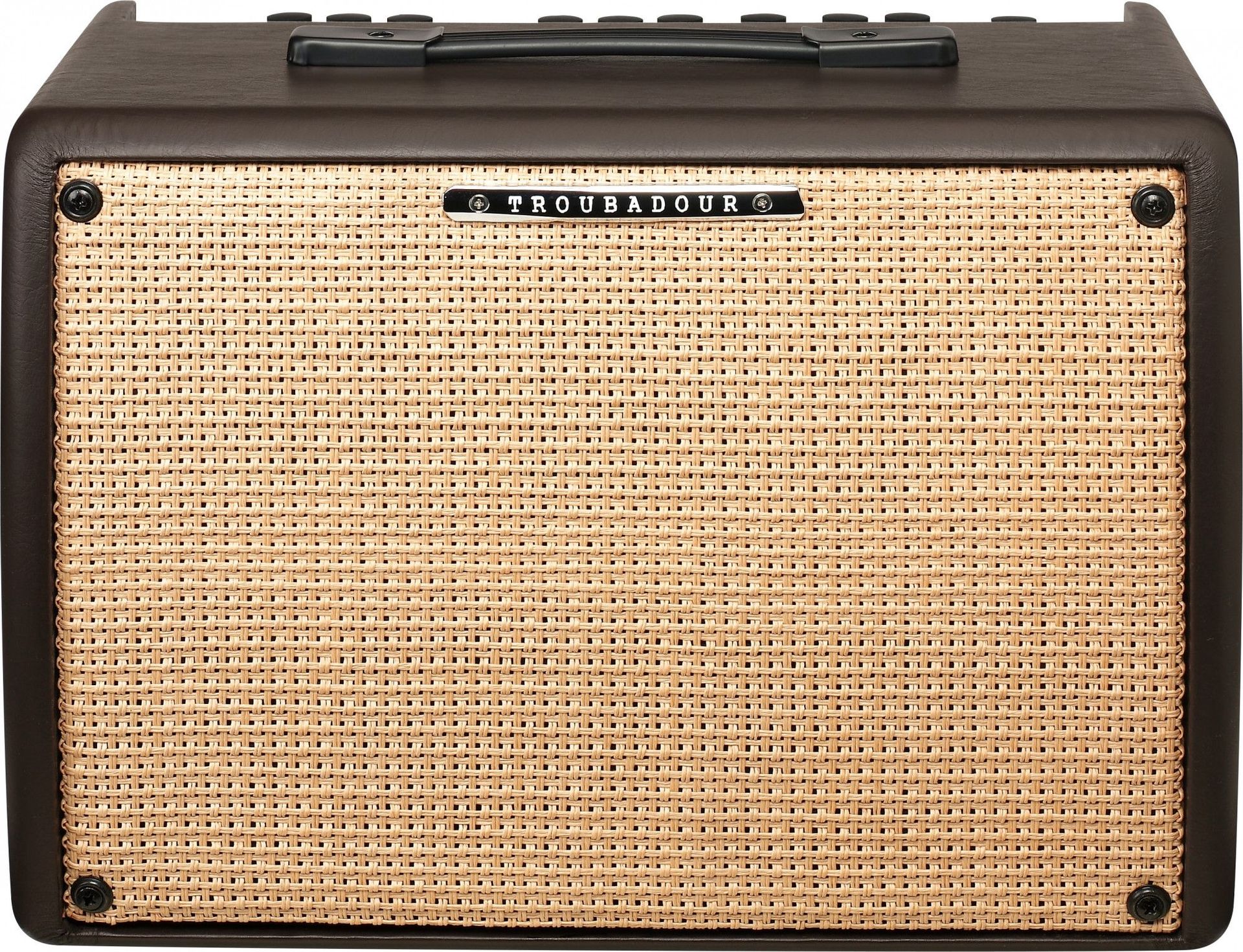 Ibanez Troubadour T30II Akustik Verstärker 