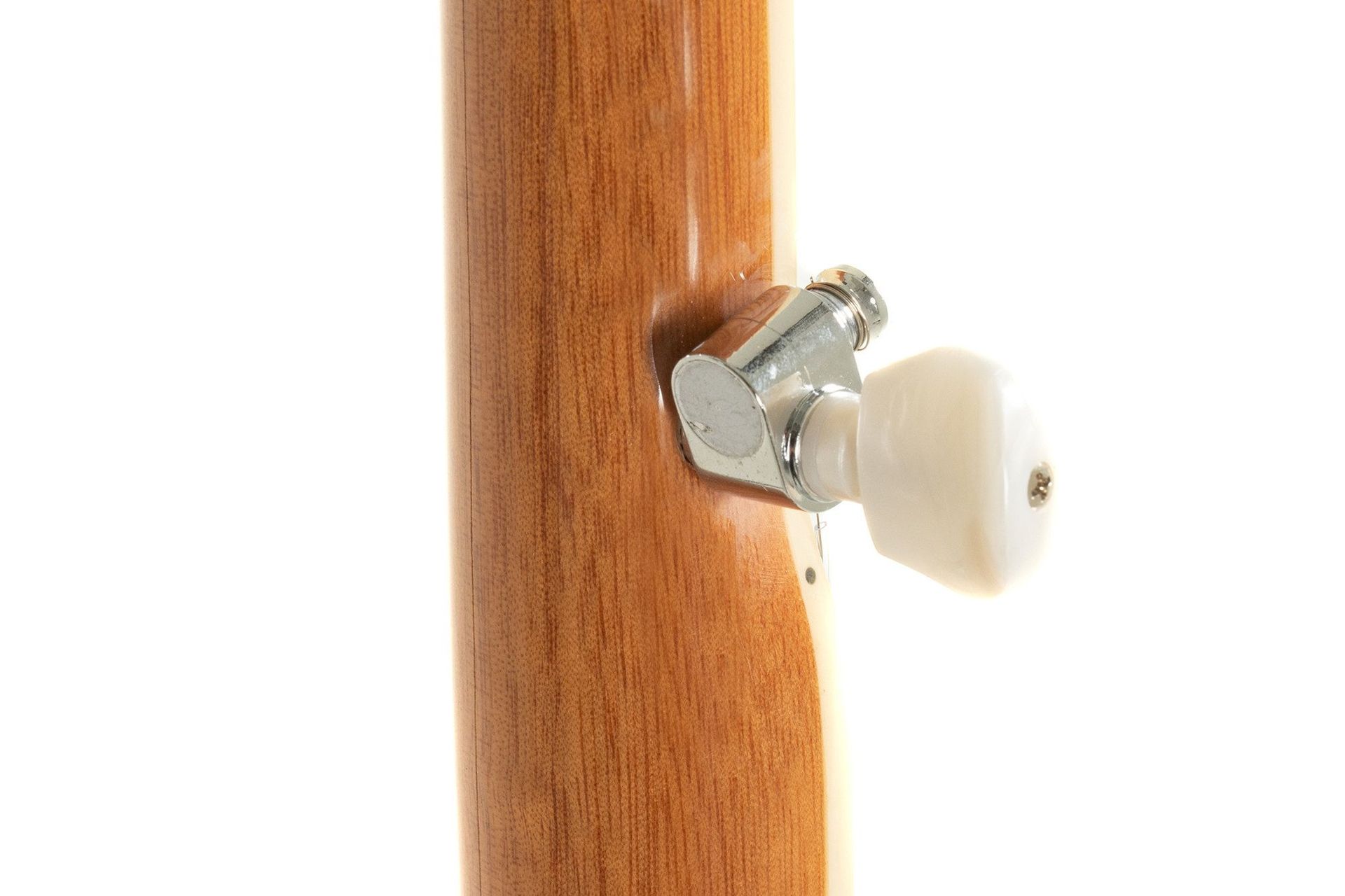 GEWA Banjo Select 5-String