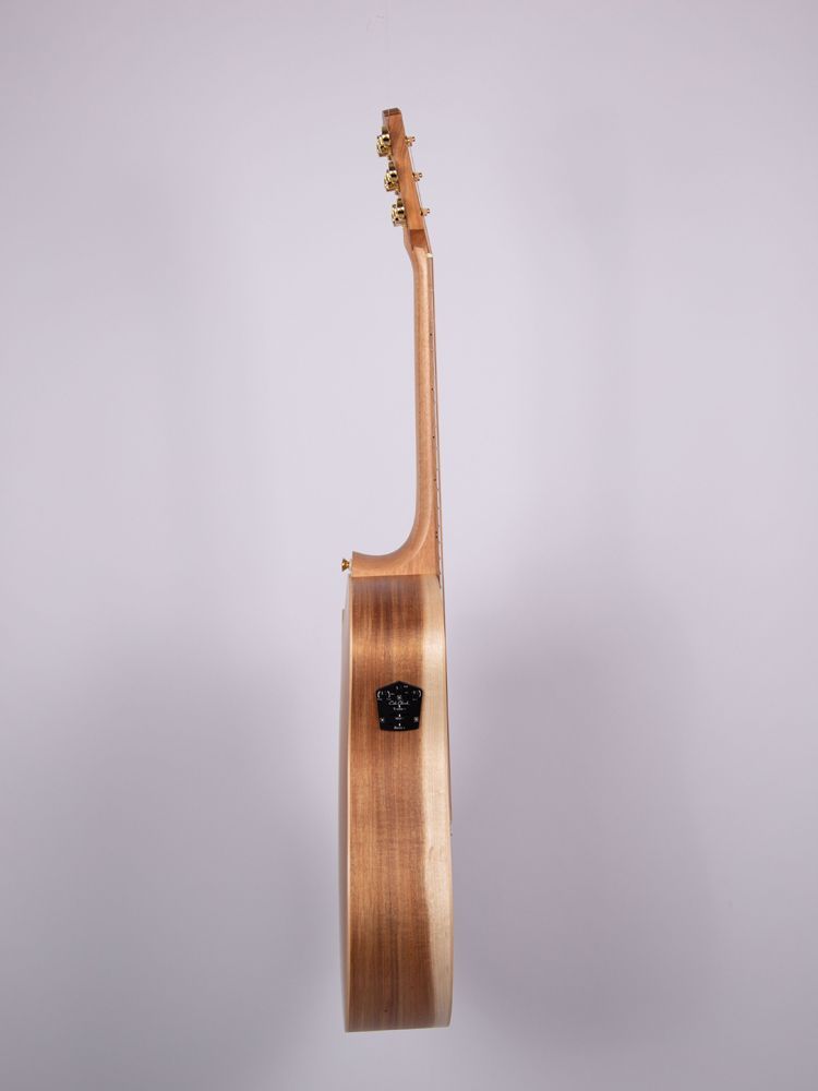 Cole Clark FL2EC-RDBL  incl. Koffer