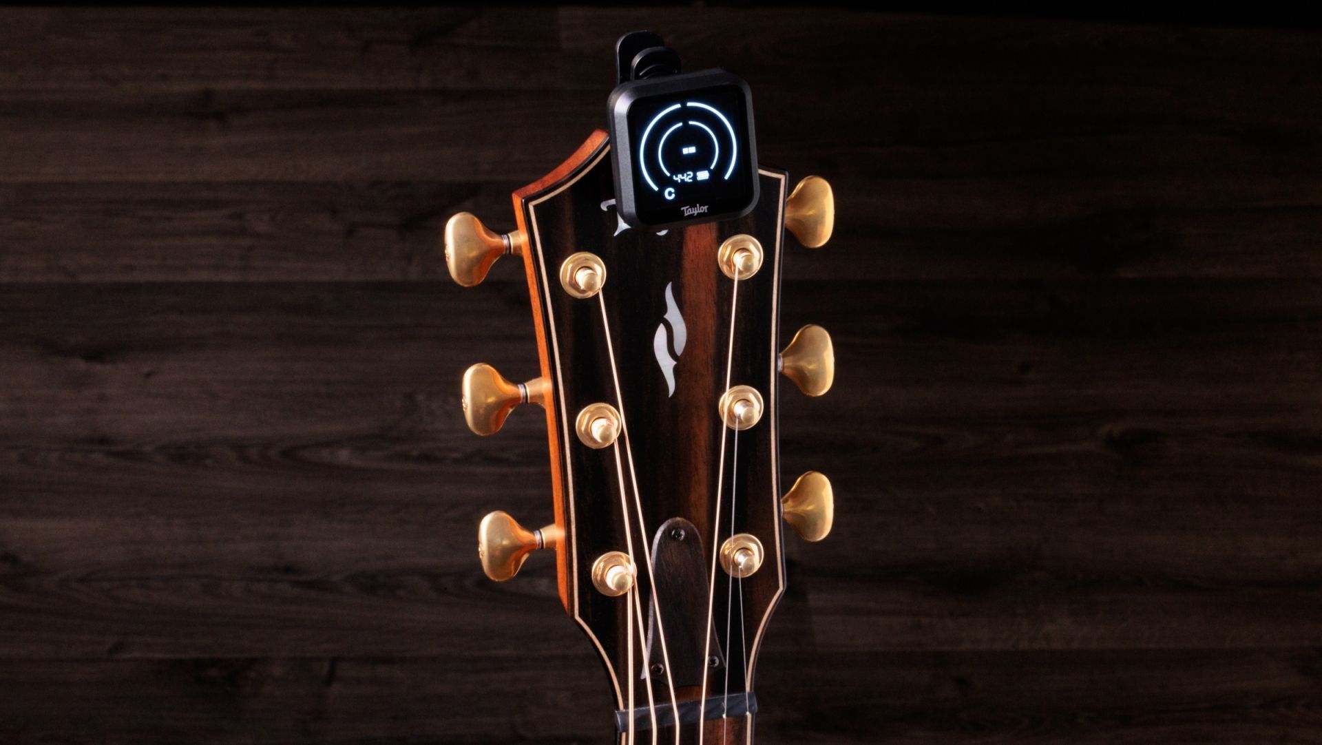 Taylor Digital Tuner K9 mit Akkubetrieb