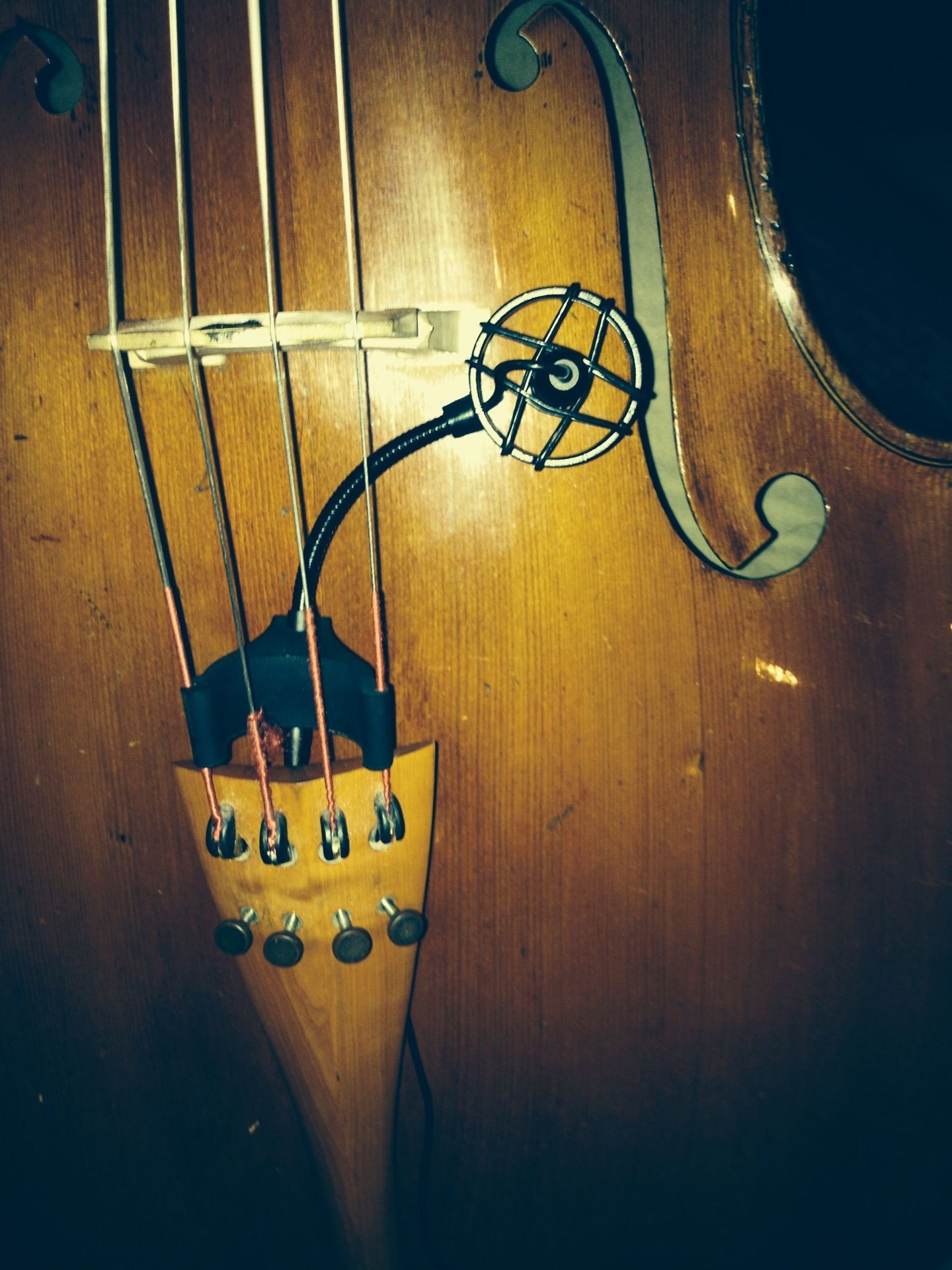 Prodipe CL21 Lanen Cello Kondensator Klemm-Mikrofon für Cello
