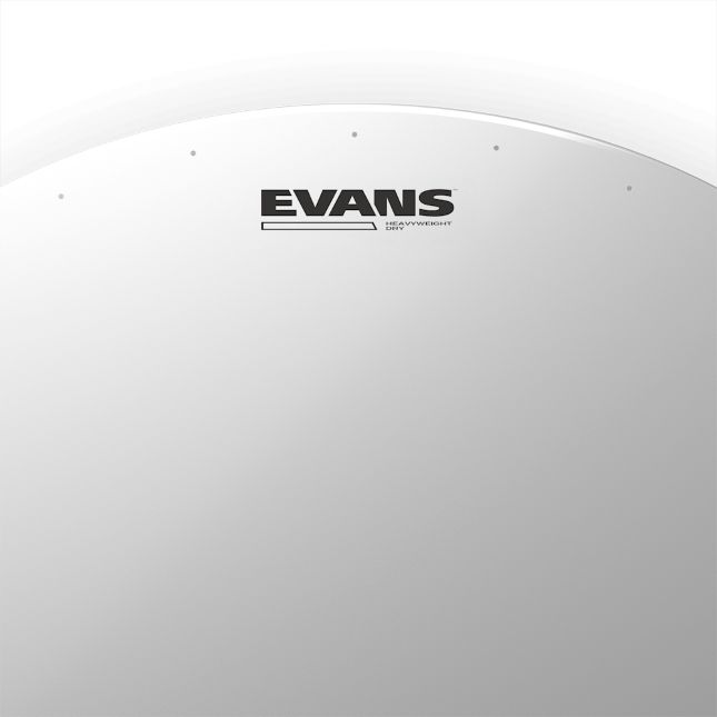 Evans Heavyweight Dry 14"  Snarefell coated B14HWD