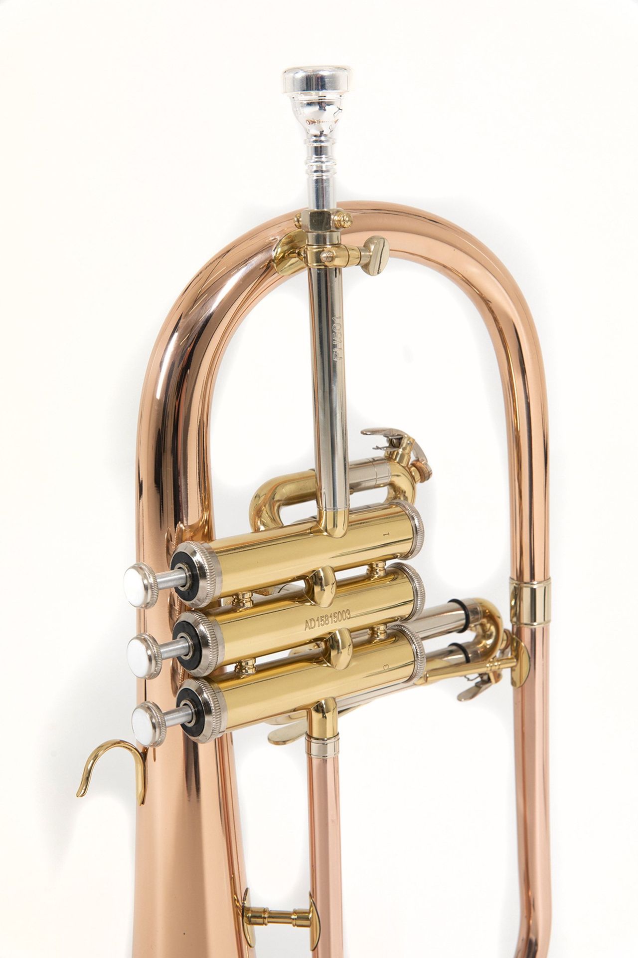 Bach FH501 B-Flügelhorn Goldmessing, Etui + Zubehör Bach FH501 B-Flügelhorn Goldmessing, Etui + Zubehör