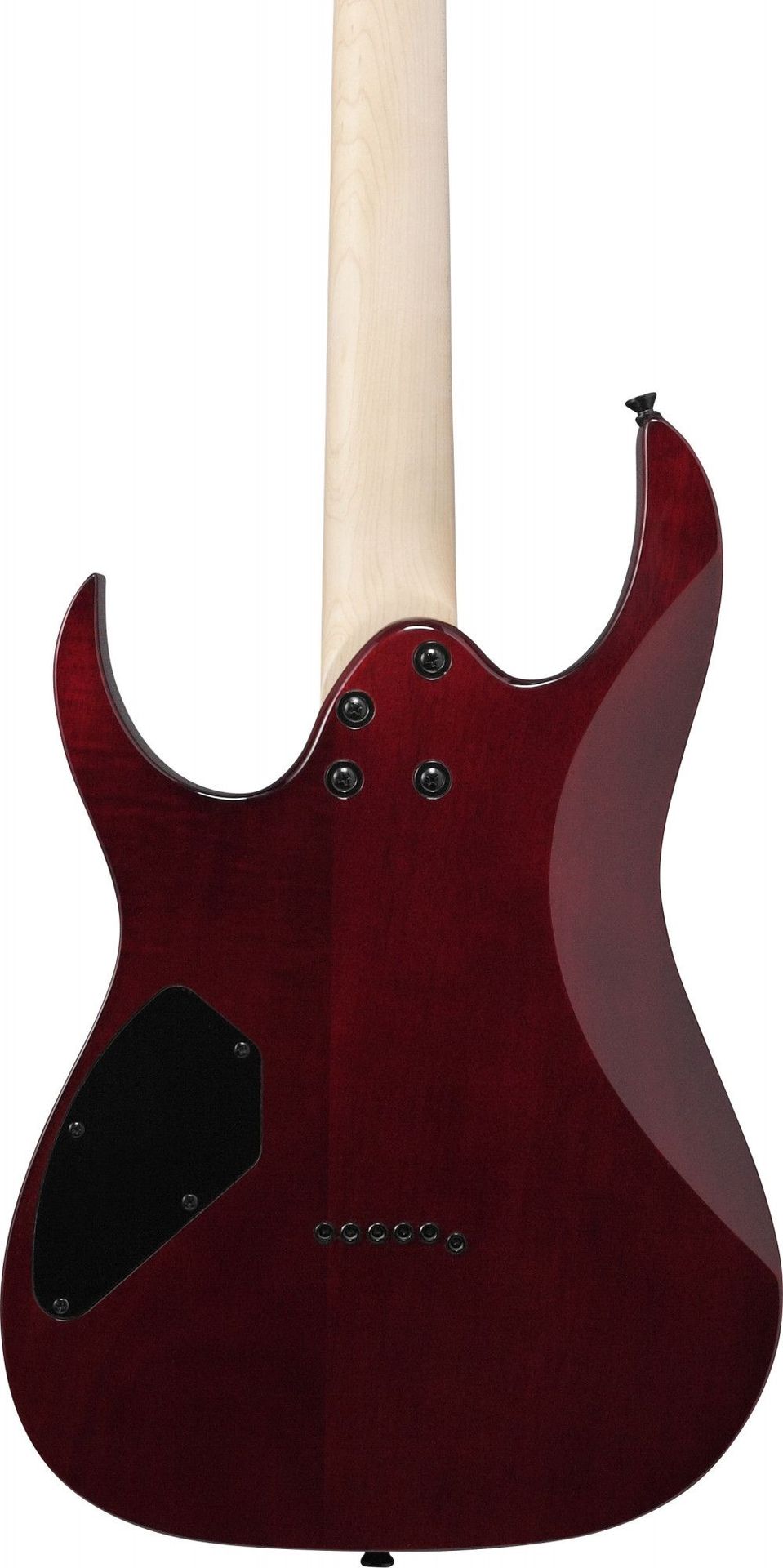 Ibanez GRGR221PA-AQB  E-Gitarre