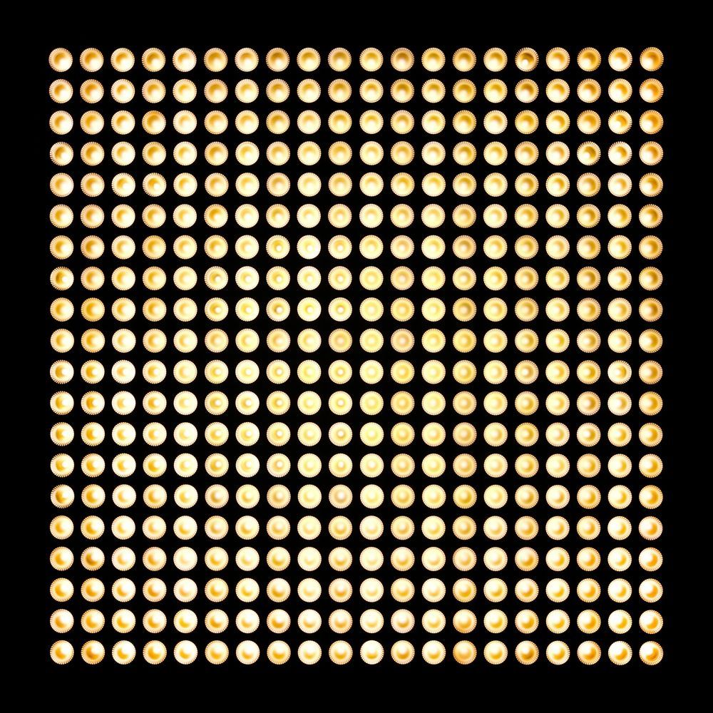 CLMP3WW_8 Cameo Matrix Panel 3 WW, 5 x 5 LED Matrix Panel mit Single Pixel Control