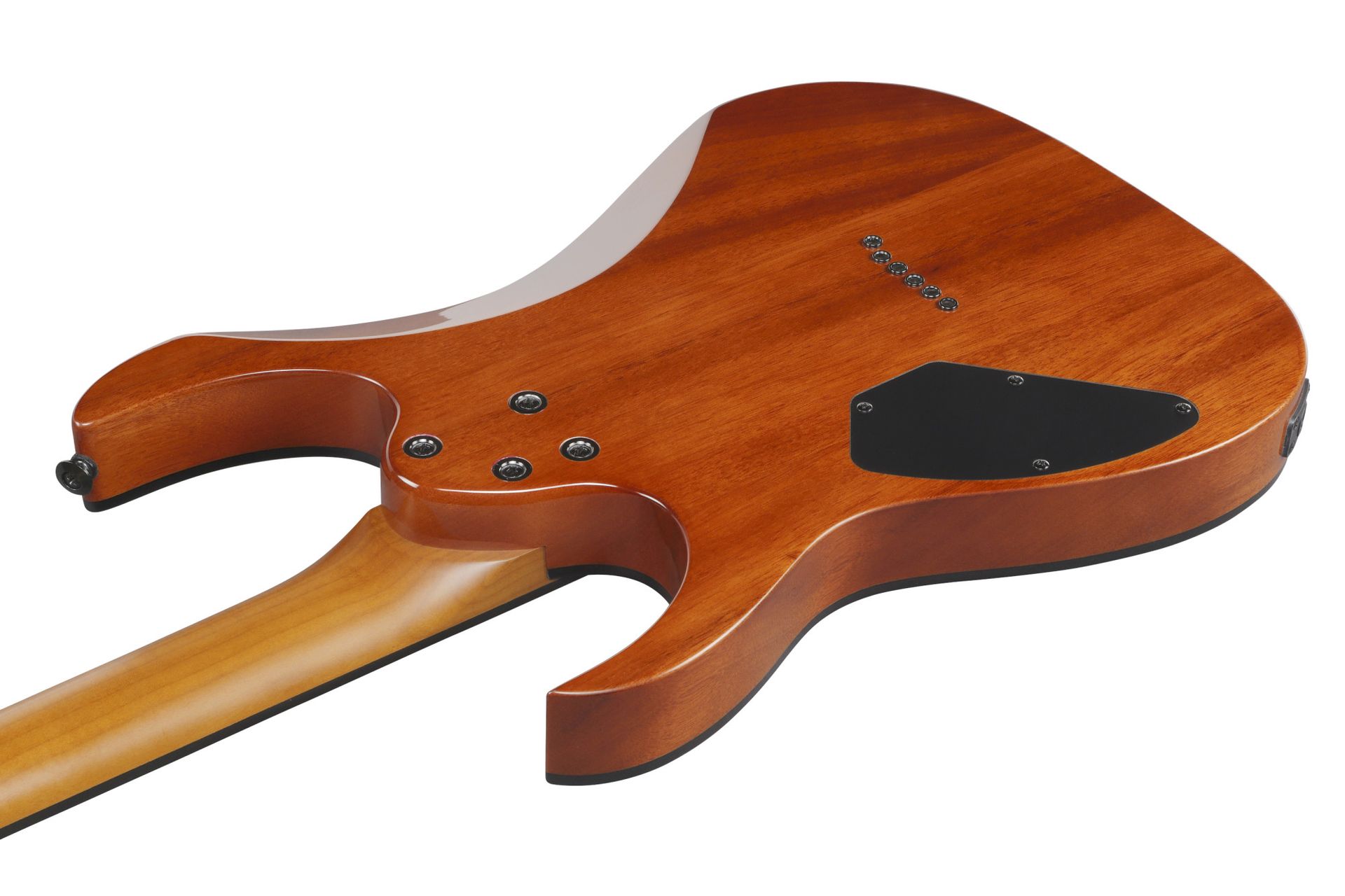 Ibanez GRGR221FA-TDK  E-Gitarre_00054546_