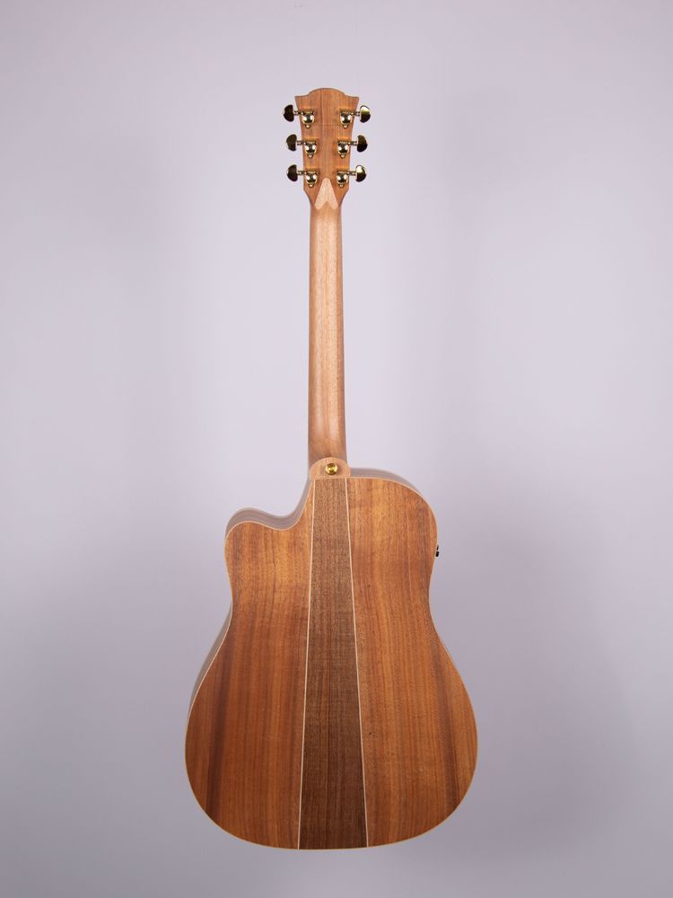 Cole Clark FL2EC-RDBL  incl. Koffer