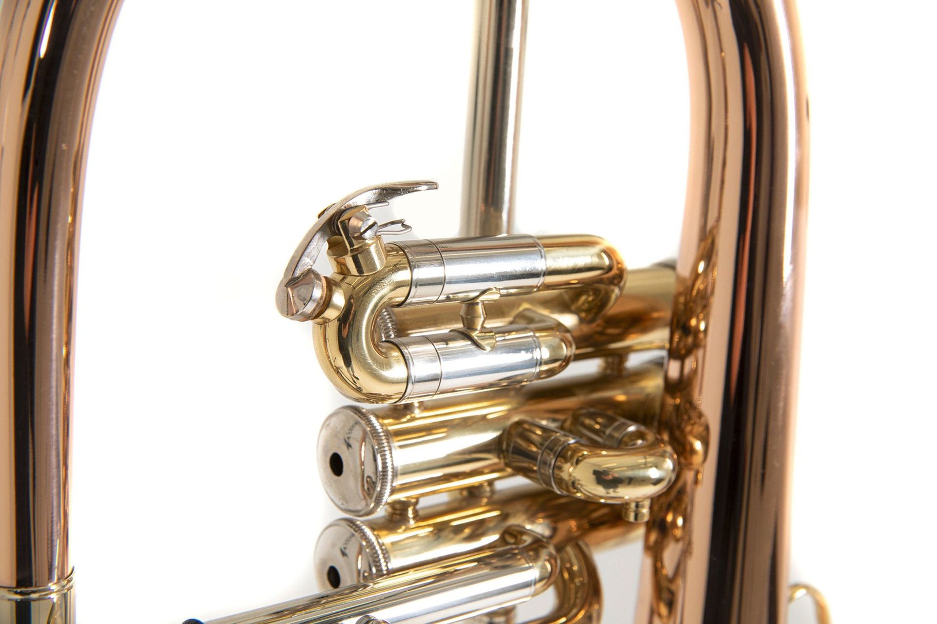 Bach FH501 B-Flügelhorn Goldmessing, Etui + Zubehör Bach FH501 B-Flügelhorn Goldmessing, Etui + Zubehör