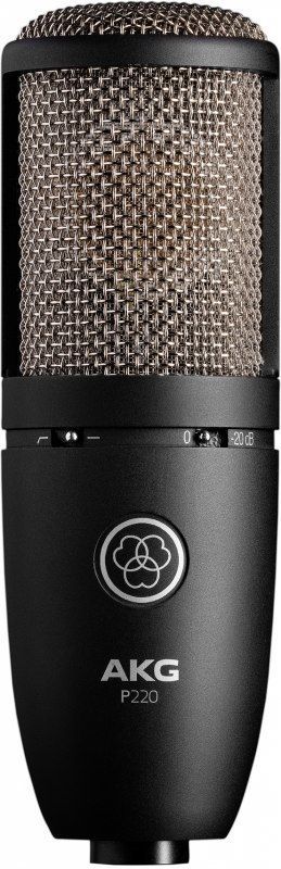 AKG P220 Studio Mikrofon, Großmembranmikrofon mit Spinne, Niere