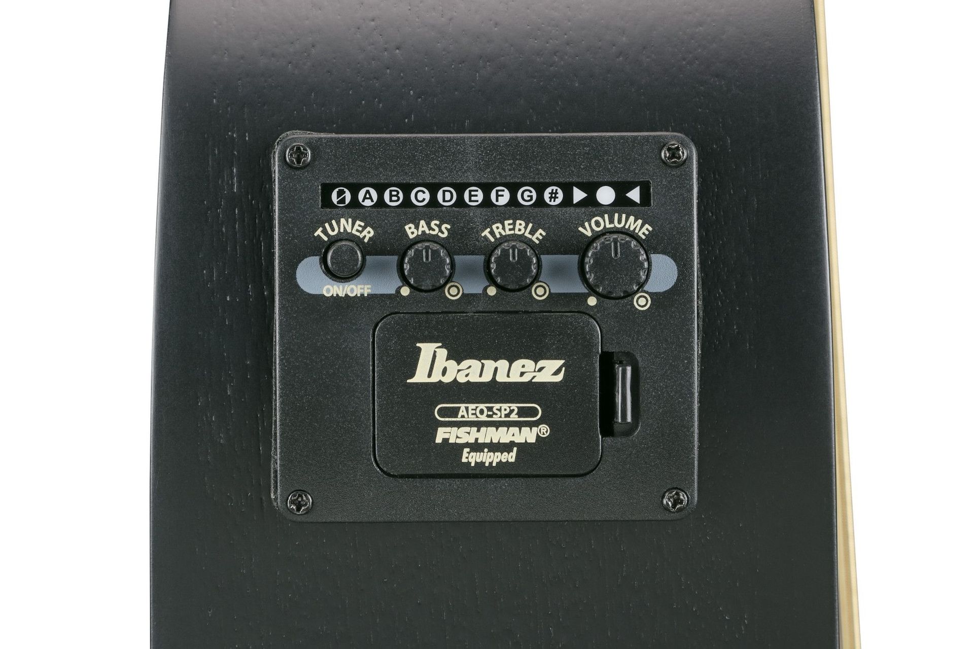 Ibanez AEG721-BOT  7-Saiter Westerngitarre mit PU _00053720_