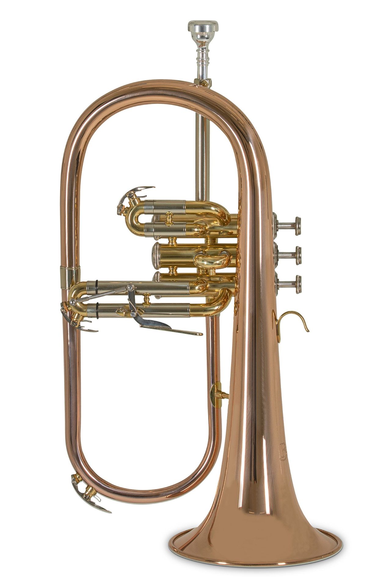 Bach FH501 B-Flügelhorn Goldmessing, Etui + Zubehör Bach FH501 B-Flügelhorn Goldmessing, Etui + Zubehör