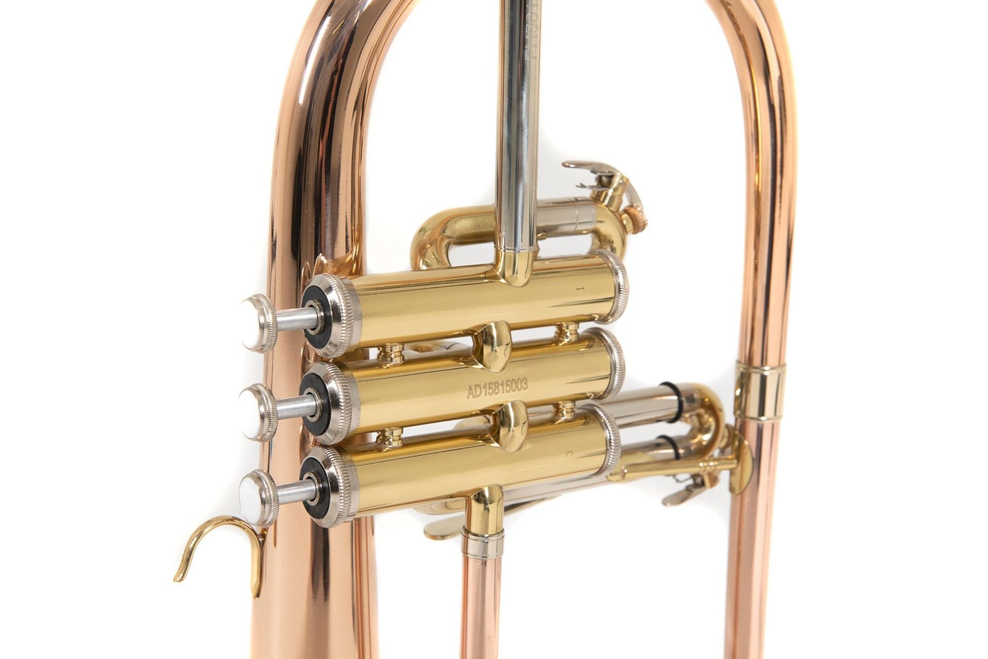 Bach FH501 B-Flügelhorn Goldmessing, Etui + Zubehör Bach FH501 B-Flügelhorn Goldmessing, Etui + Zubehör