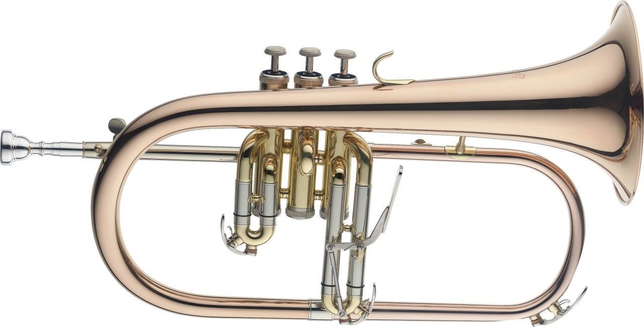SWING FH-302-G B-Flügelhorn Goldmessing, Etui + Zubehör_00008734_