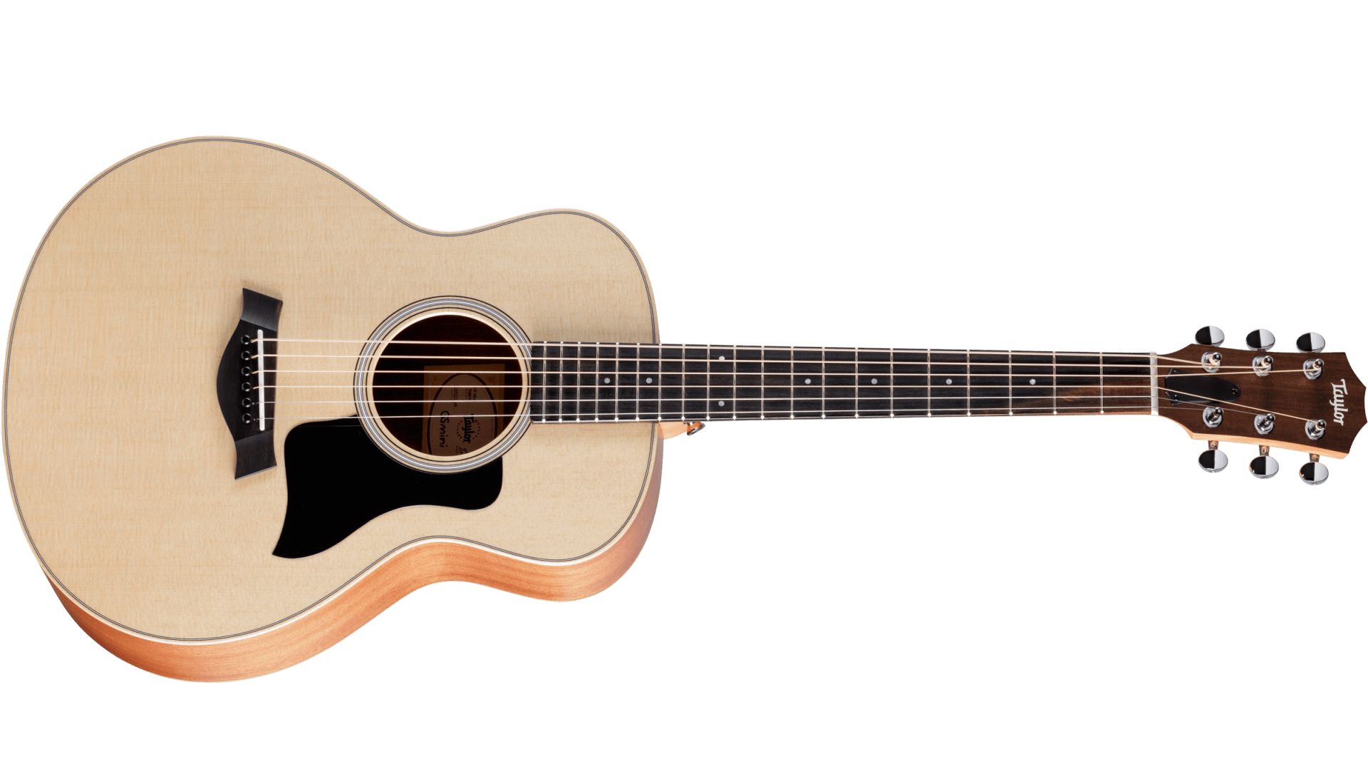 Taylor GS Mini Sapele
