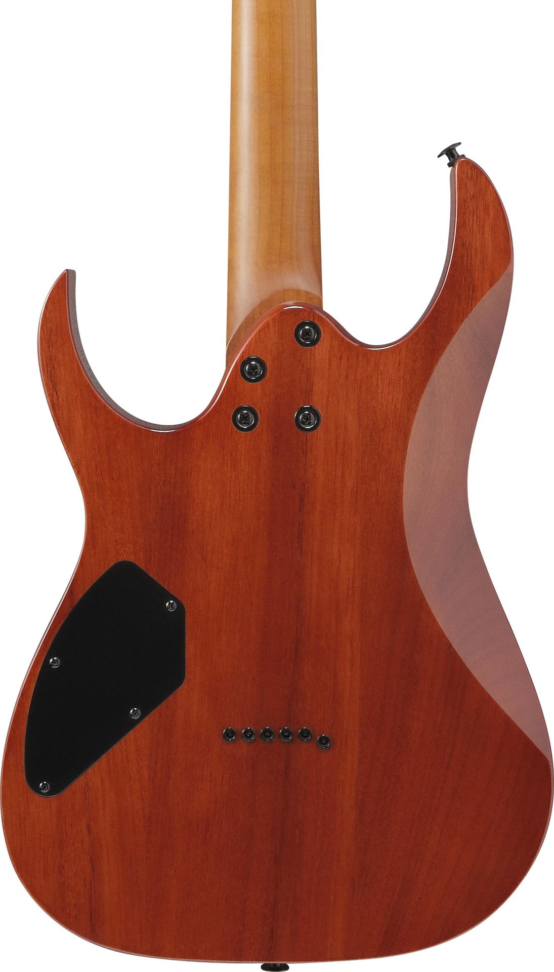 Ibanez GRGR221FA-TDK  E-Gitarre_00054546_