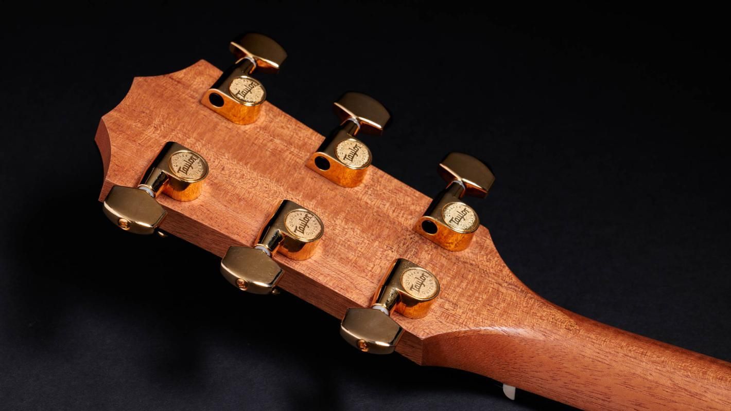 Taylor 217e-SB Plus 