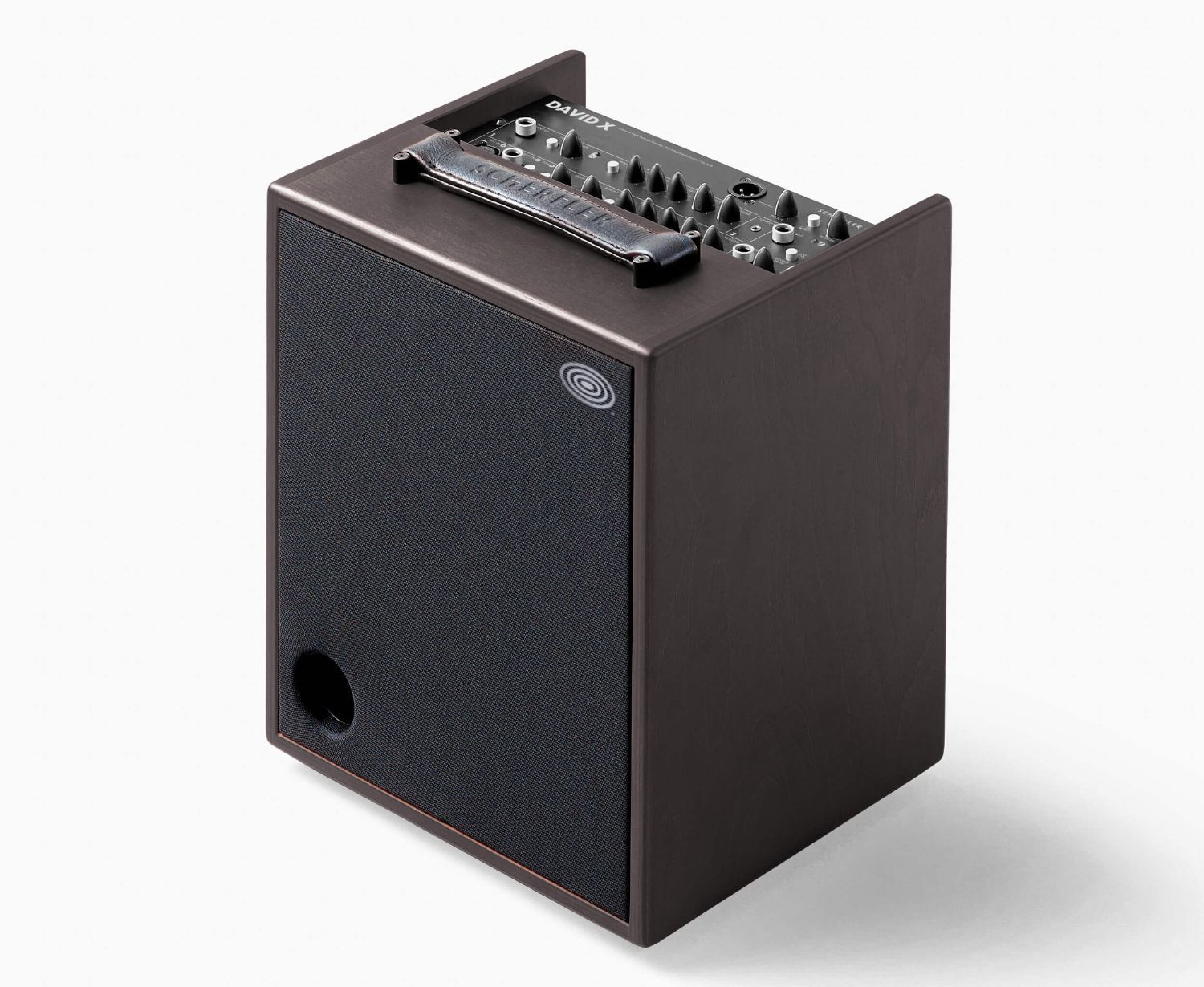 7640165618486 - David-X Wood 120 Watt Akustikverstärker in Holzoptik