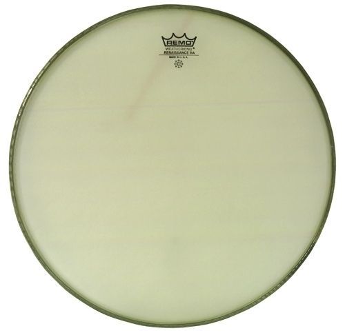 Remo 14" Renaissance Ambassador Tomfell  RA-0014-SS_00005323_