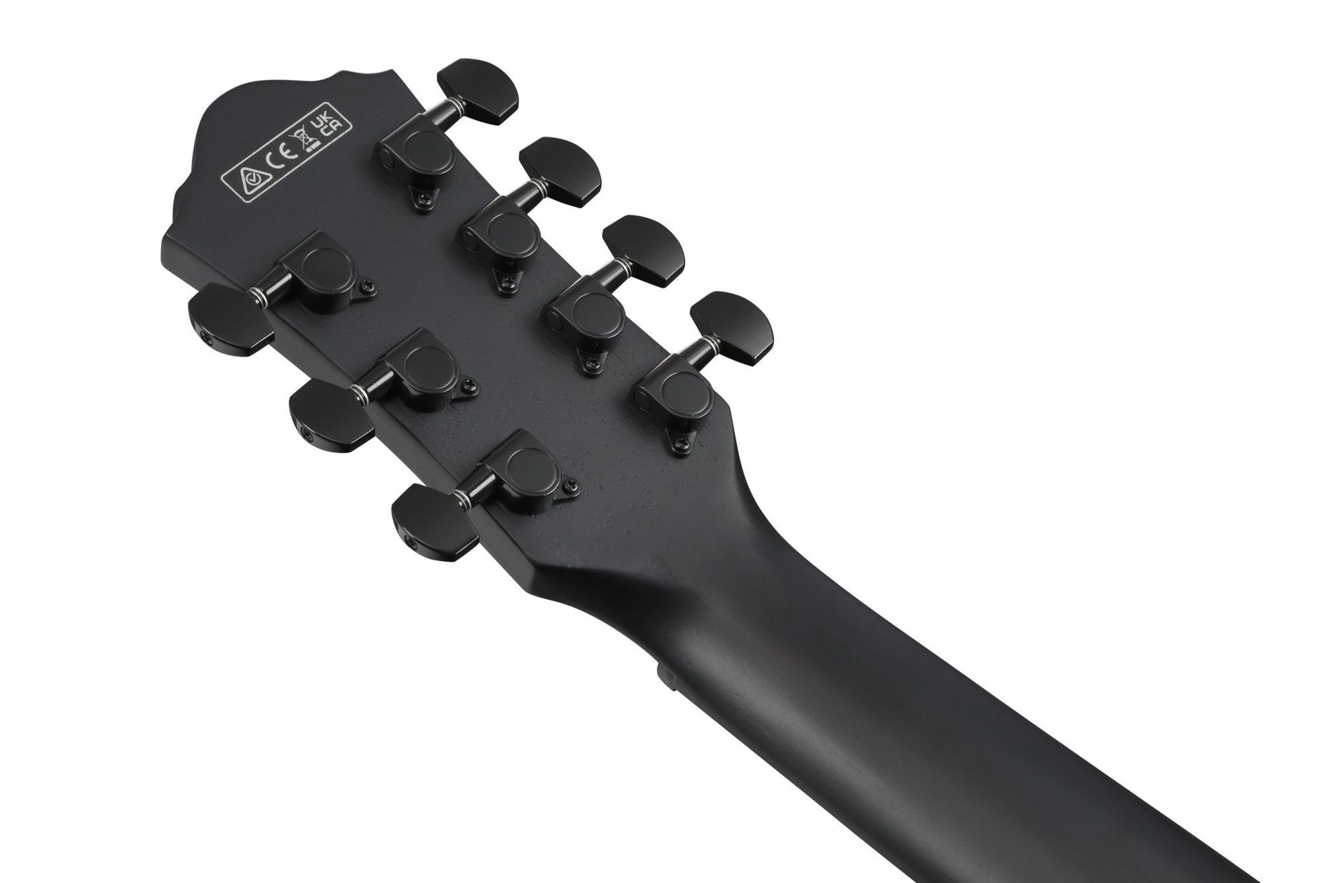 Ibanez AEG721-BOT  7-Saiter Westerngitarre mit PU _00053720_