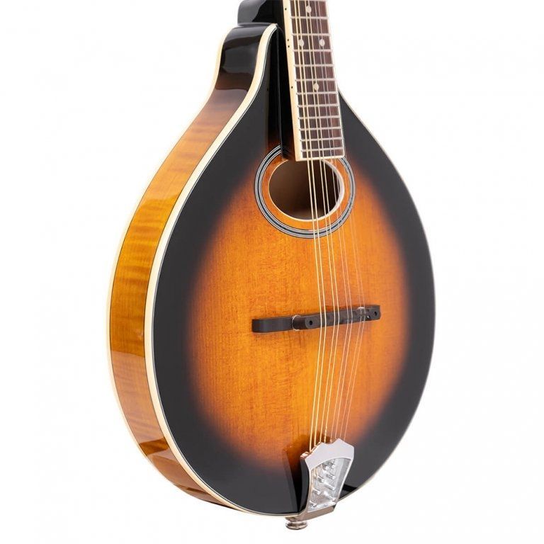 GoldTone GM-50+ Mandoline mit PickUp incl. Gigbag GoldTone GM-50+ Mandoline mit PickUp incl. Gigbag