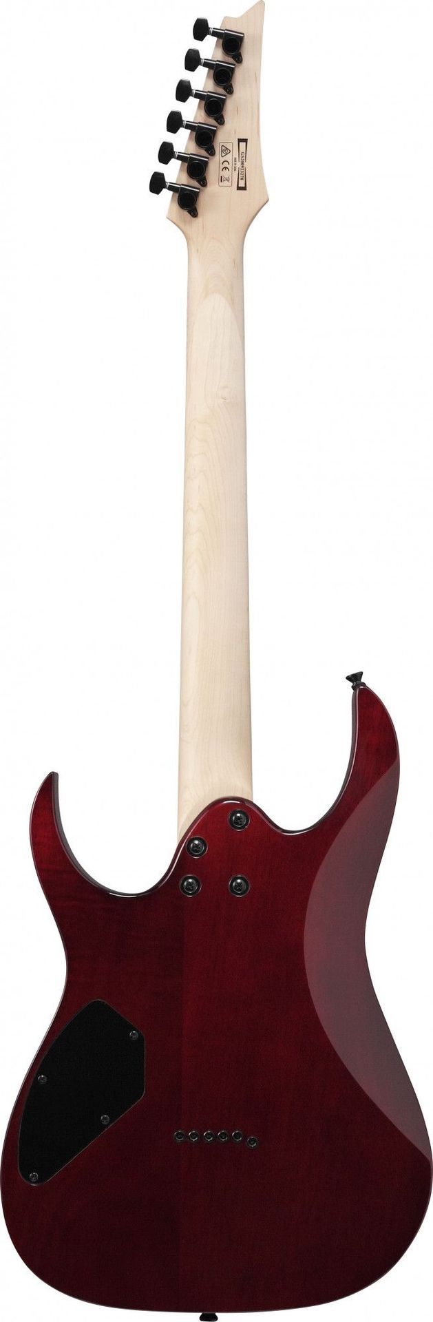 Ibanez GRGR221PA-AQB  E-Gitarre