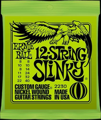 Ernie Ball EB-2230 12-Saiter E-Gitarren Saiten Regular Slinky .008-.040 