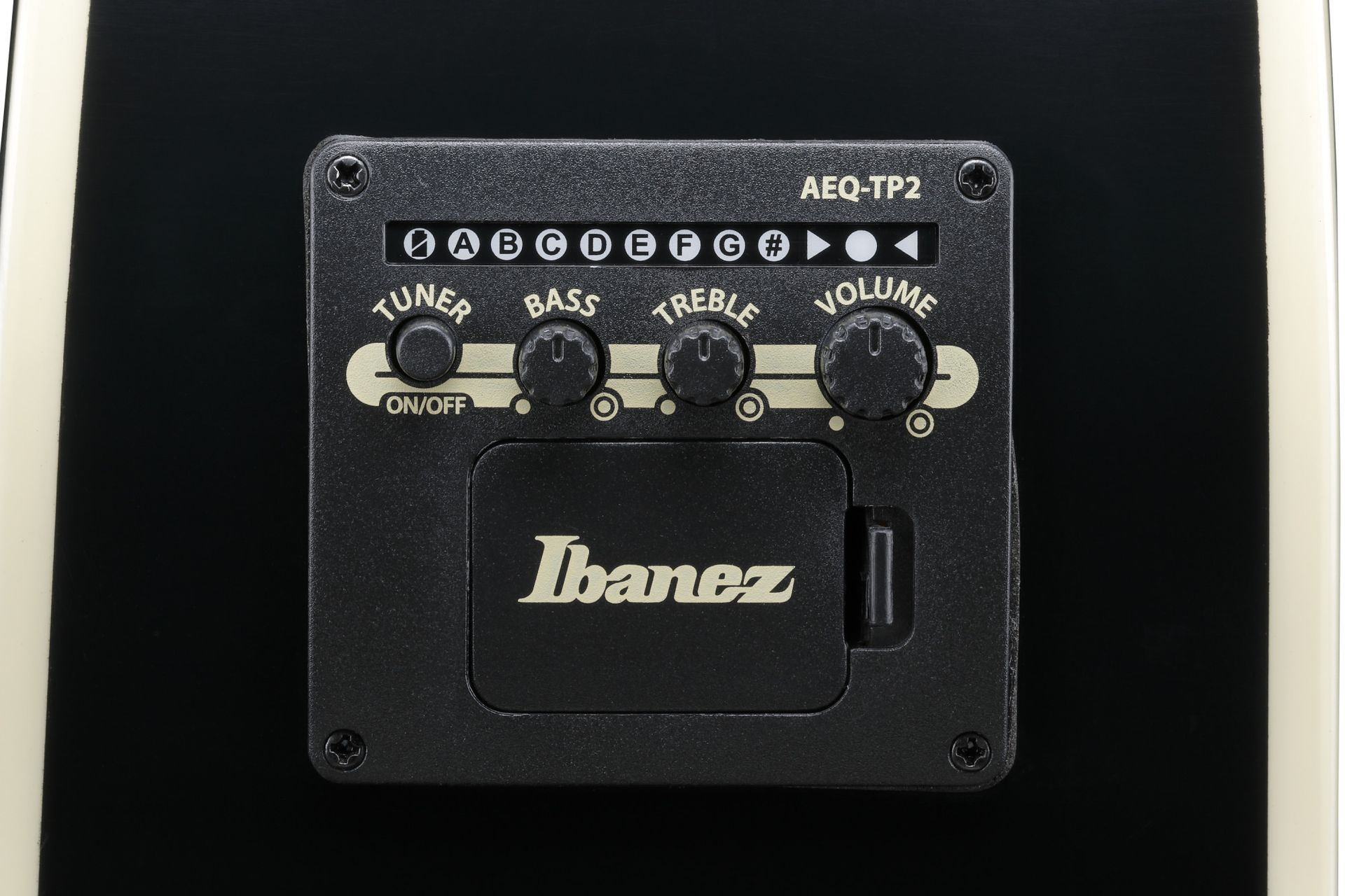 Ibanez AJ7012M1E-BK  12-Saiter Akustikgitarre mit Pickup_00054519_