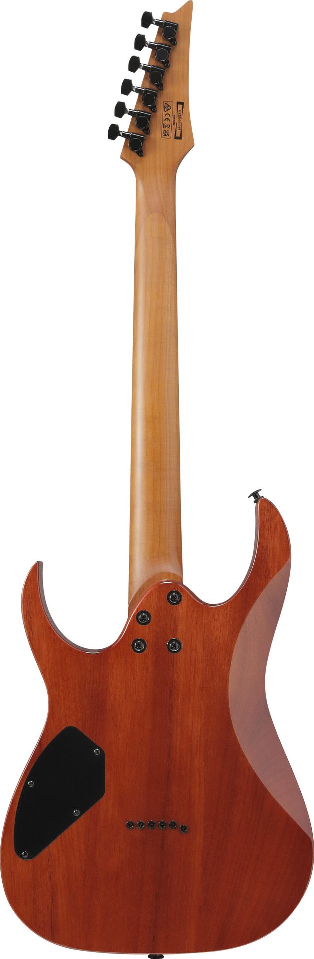Ibanez GRGR221FA-TDK  E-Gitarre_00054546_