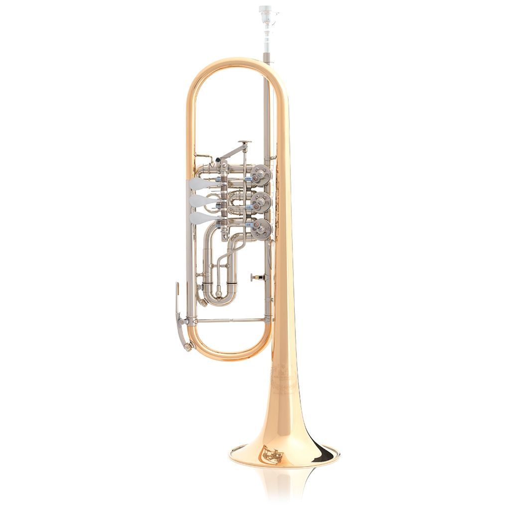 4250755111322 - 3005 3 GT-1-0B-Konzerttrompete Bohrung 1100mm inclEtui u Pflegeset 4250755111322 - 3005 3 GT-1-0B-Konzerttrompete Bohrung 1100mm inclEtui u Pflegeset