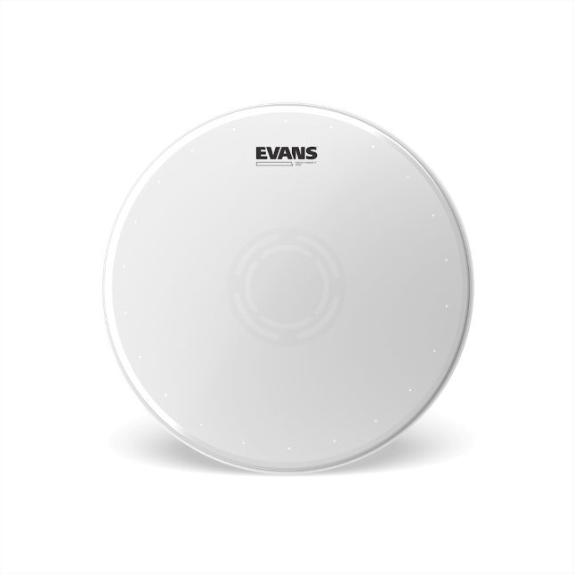 Evans Heavyweight Dry 14"  Snarefell coated B14HWD