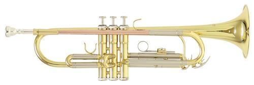 Roy Benson TR-202  B-Trompete , lackiert,  Bohrung 11,65mm, incl.Etui u. Zubehör