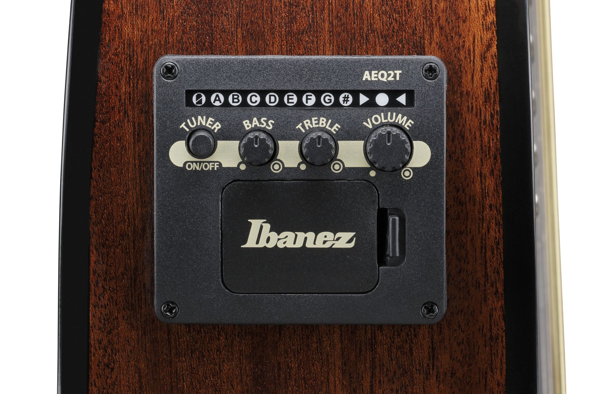 Ibanez AEWC16QA-TEH Westerngitarre mit Pickup