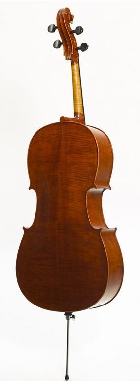 Stentor Cello 4/4 "Elysia" SR-1591A  Ebenholzgriffbrett, Ebenholzwirbel