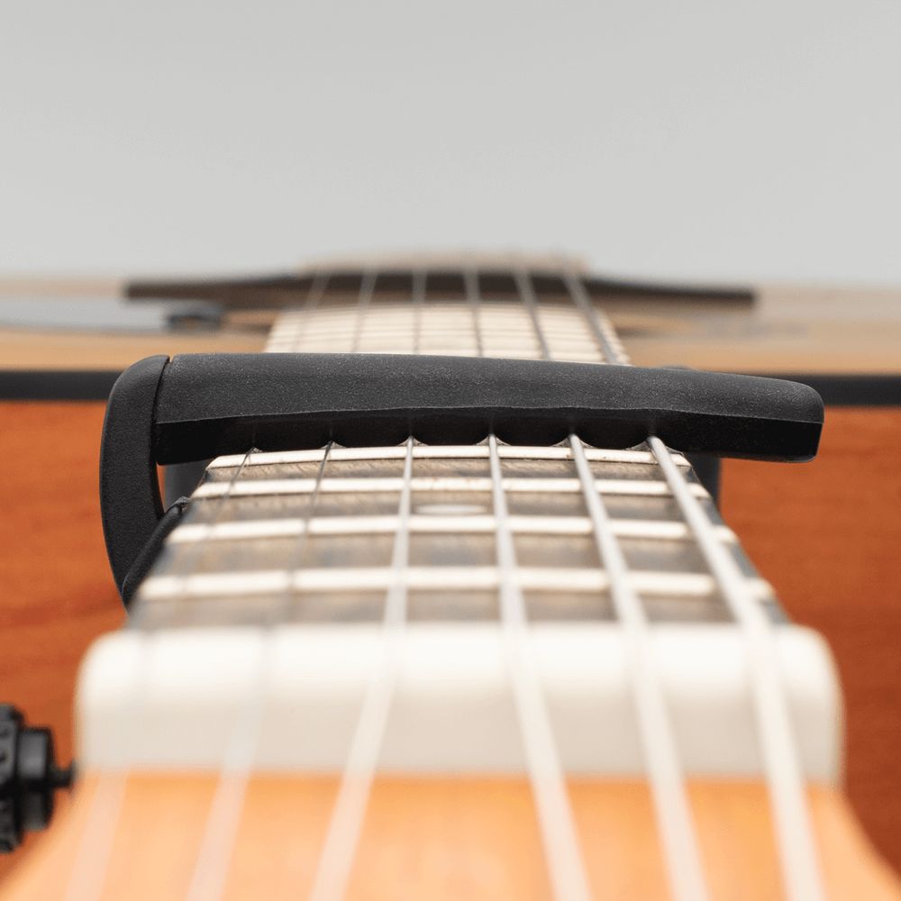 D'Addario Planet Waves PW-CP-19 Pro Plus Capo Black_00049643_