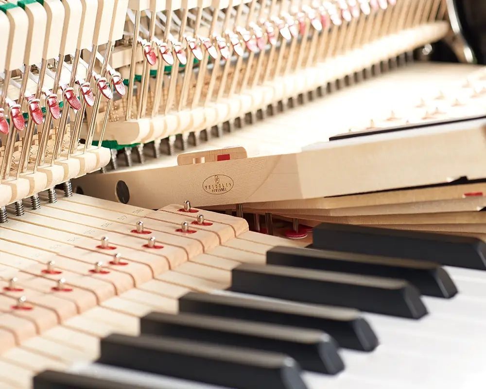 Schimmel F116 "Fridolin" Tradition Klavier schwarz poliert