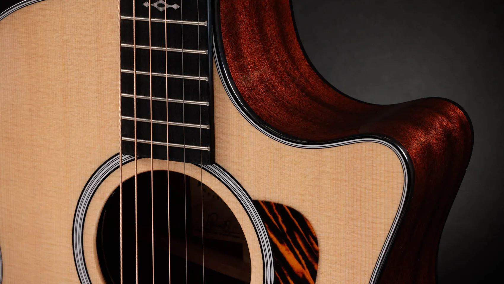 Taylor 314ce Next Generation_00054526_