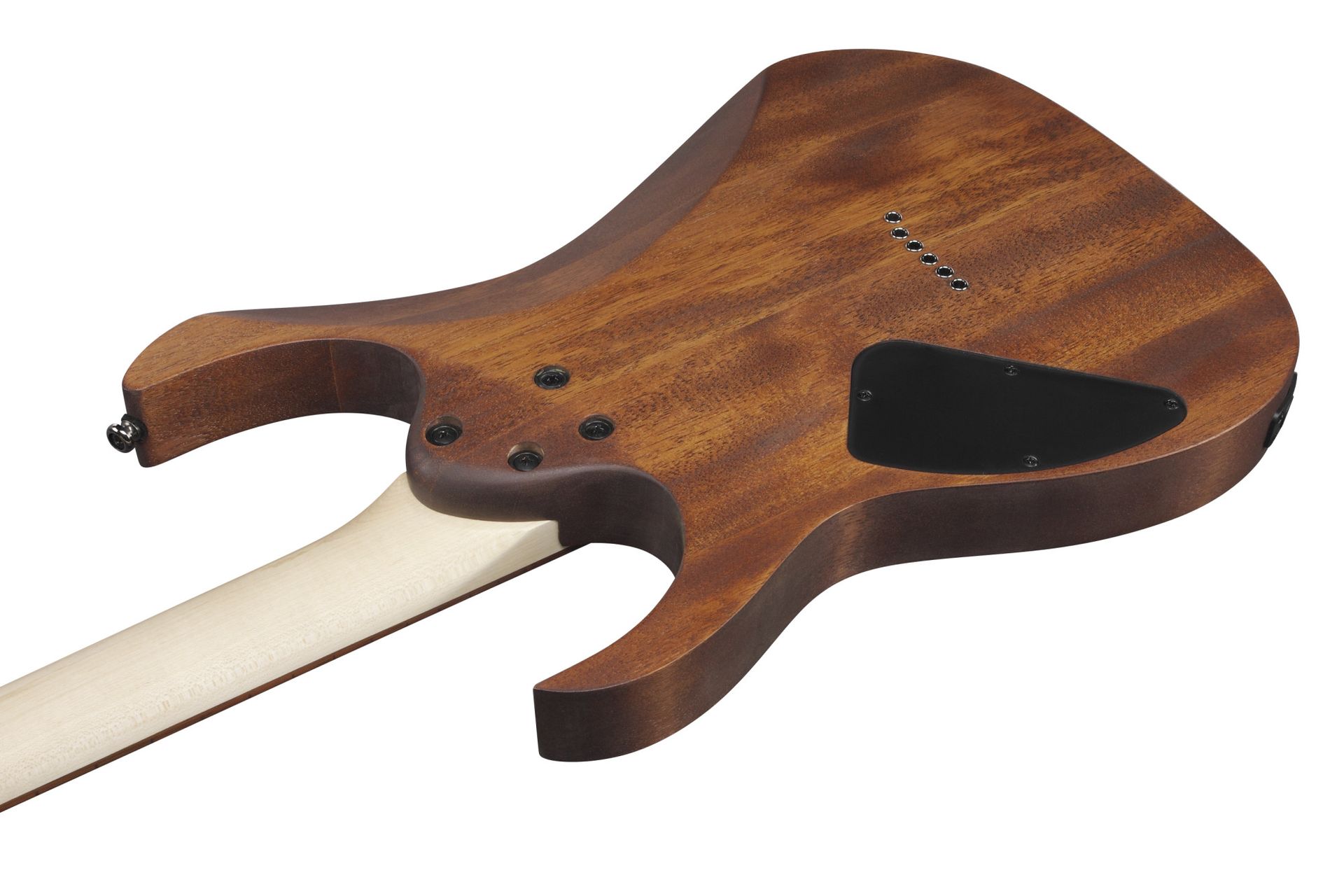 Ibanez RG421-MOL_00054983_