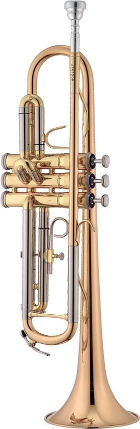 Jupiter JTR-700RQ B-Trompete Bohrung 11.68mm, Goldmessing Schallstück, Mundrohr 