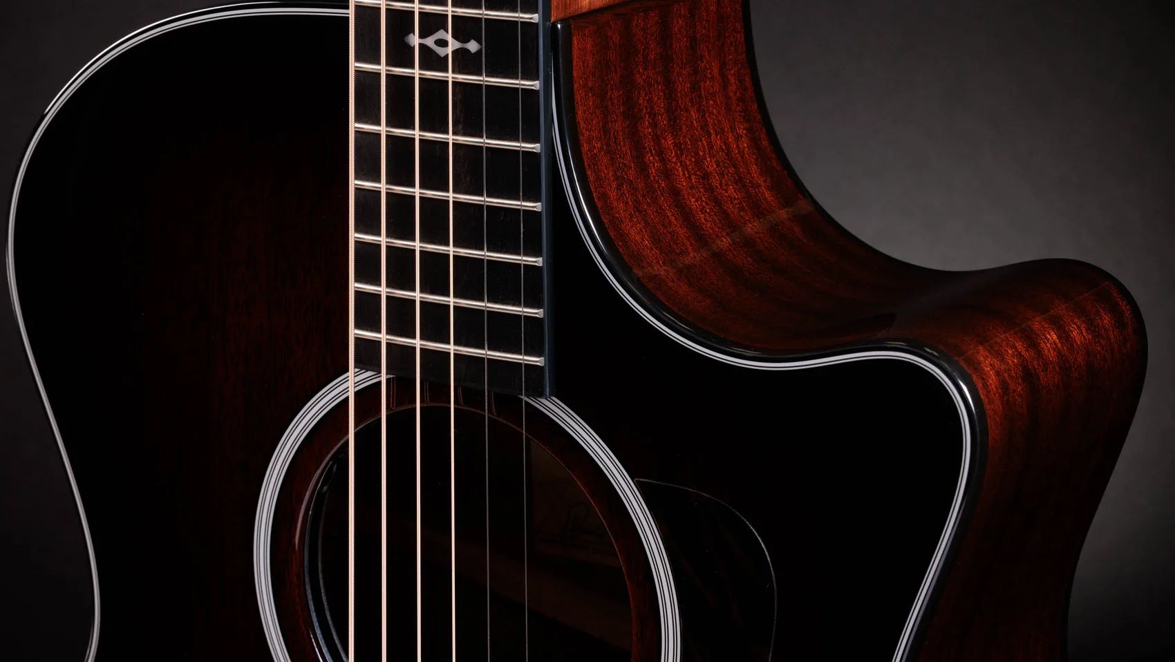 Taylor 324ce Scalloped V-Class Bracing Next Generation