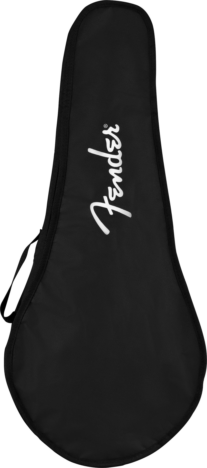Fender PM-180E Mandoline mit Pickup  incl. Gigbag