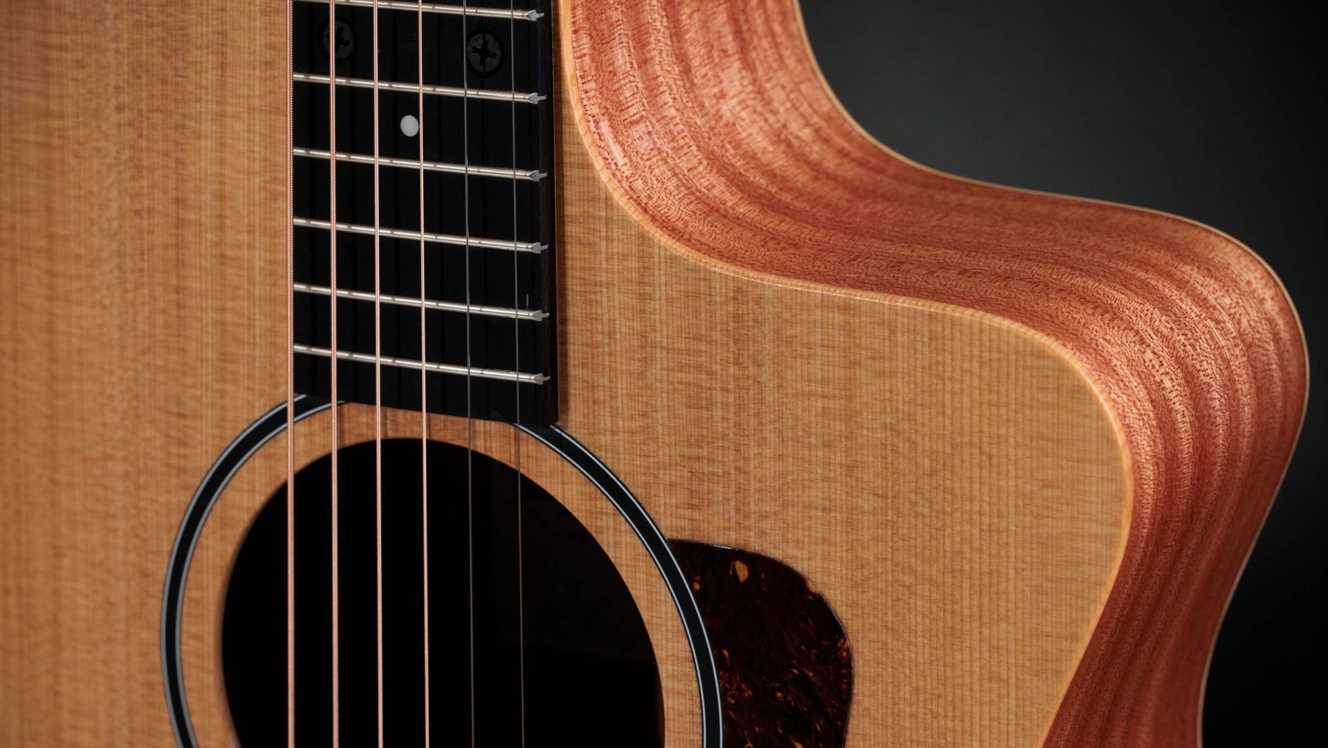 Taylor 14ce Westerngitarre