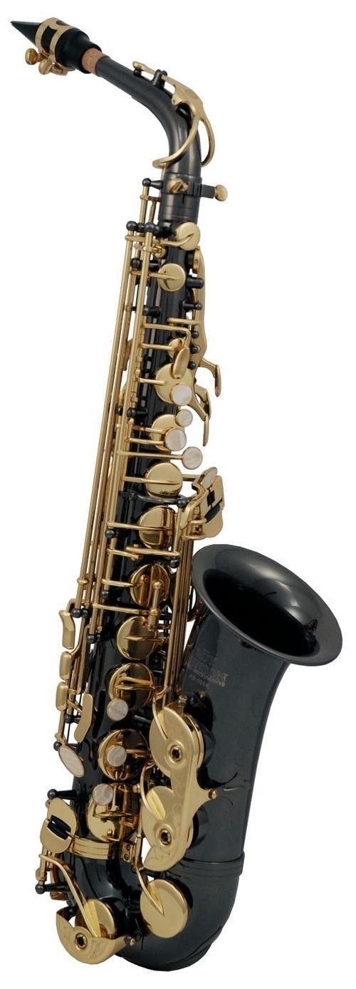 Roy Benson Eb-Alt Saxophon anthrazit AS202K, incl. Etui & Zubehör  