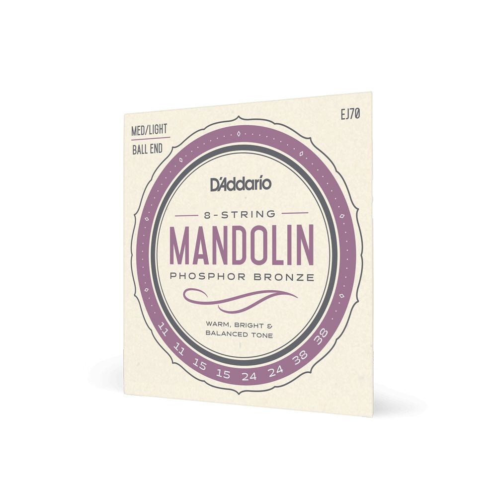 D'Addario EJ70 Mandolinen-Saiten mit Ball Ends 011-038